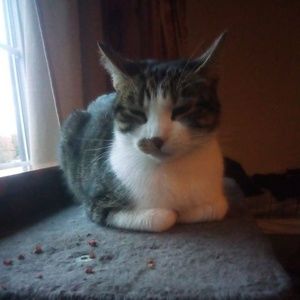 Meet your Posher, Alex